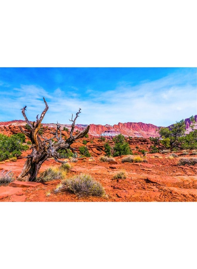 AWERT 48x18 inches Reptile Habitat Background Blue Sky Oasis Orange Desert Terrarium Background Durable Polyester Background - Image 1